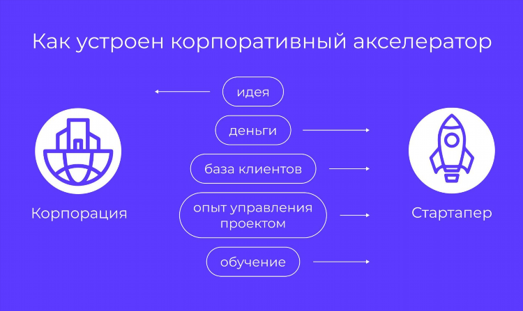 Идеи для быстрого заработка