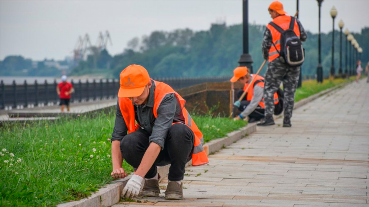 Подработка беларусь удаленно
