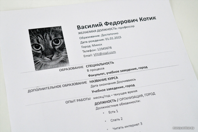 Подработка в интернете минск