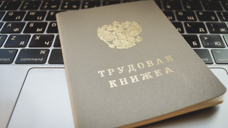 Удаленная подработка на дому с ежедневной оплатой