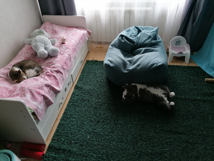 Удаленная работа на часы
