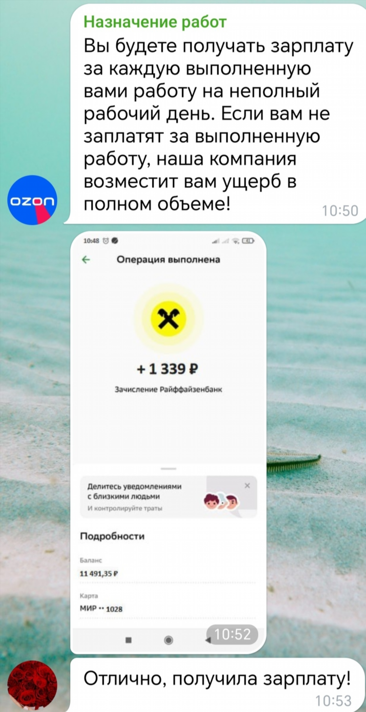 Вакансии на озон удаленная